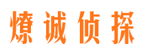 眉县市调查公司